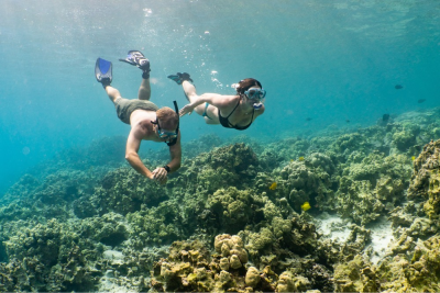 a man flying through the air while swimming in a body of water